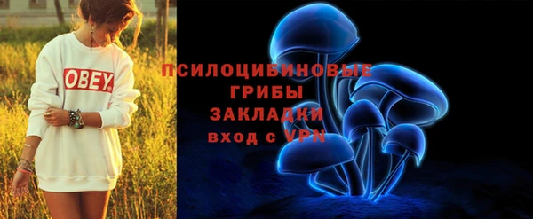 дмт Алзамай