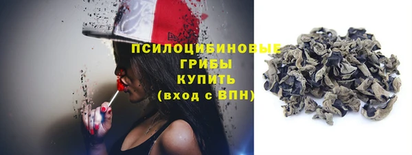 дмт Алзамай