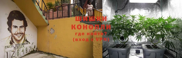 дмт Алзамай
