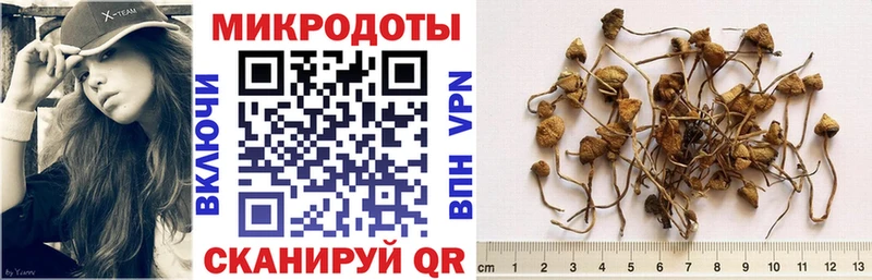 Псилоцибиновые грибы Cubensis  Ивангород 